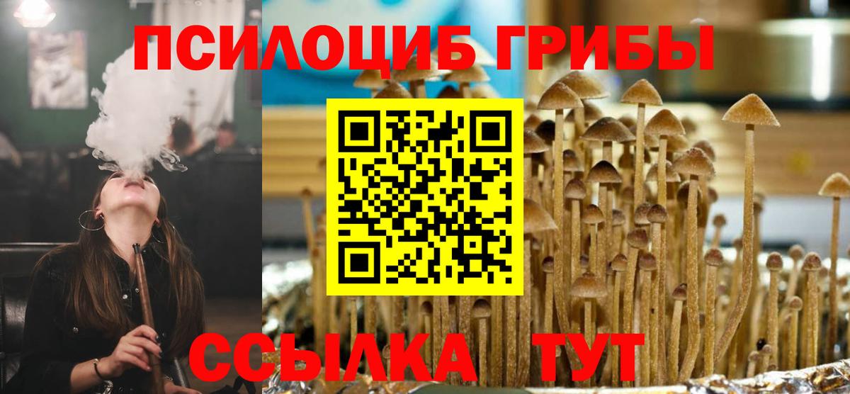 Псилоцибиновые грибы мухоморы  Вход с VPN  Минеральные Воды 